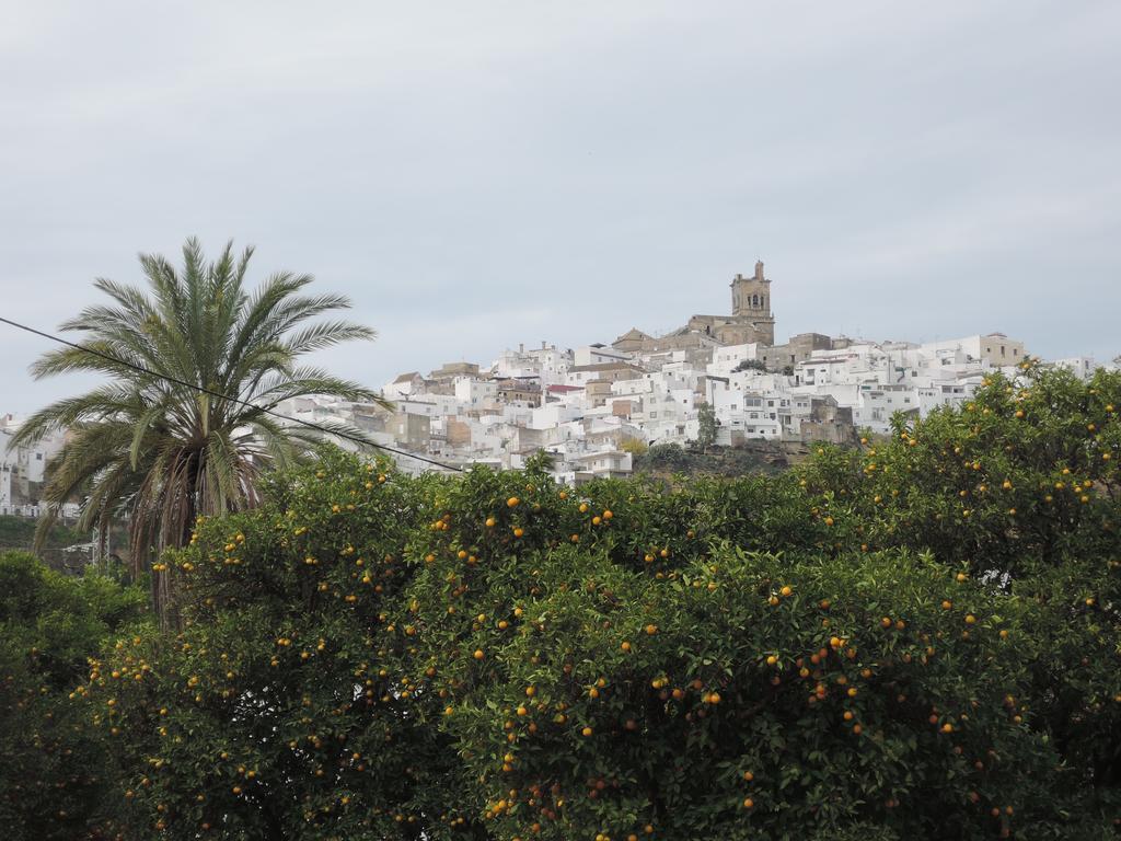 Casa Lomas Daire Arcos de la Frontera Dış mekan fotoğraf